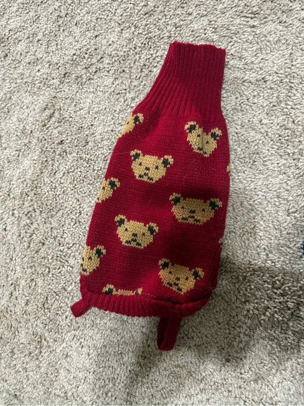 Cat Sweater in Burgundy with Bear Pattern
